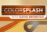 Color Splash Image