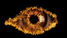 Celebrity Big Brother Image