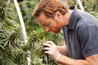 Weed Country Image