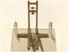 Surviving History Image