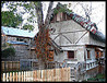 What's With That House? Image