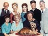 Petticoat Junction Image