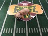Puppy Bowl Image
