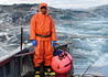 Lobster Wars Image