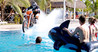Nitro Circus Image