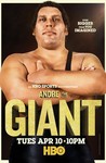 Andre the Giant Image