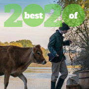 Best of 2020: Film Critic Top Ten Lists Image