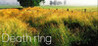 Death ring (II)