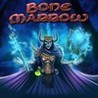 Bone Marrow Image