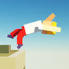 Backflipper Image