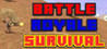 Battle Royale Survival Image