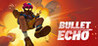 Bullet Echo Image