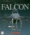 Falcon 4.0 Image