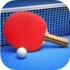 Ping Pong Fury Image