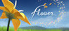 Flower Image