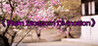 Plum Blossom Divination Image
