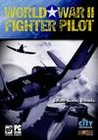 WWII Fighter Pilot Image