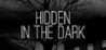 Hidden in the Dark