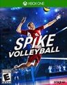 Spike Volleyball Image