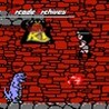Arcade Archives: VS. The Quest of Ki