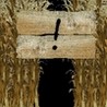 Corn Maze Image
