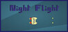 Night Flight