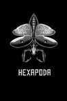 Hexapoda Image