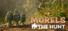 Morels: The Hunt Image