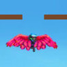 Up! Bird Image