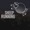 SHEEP RUNNING Image