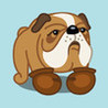 Puppy Connect Image