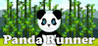 Panda Runner Image