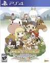 Story of Seasons: Friends of Mineral Town