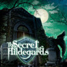 The Secret of Hildegards Image
