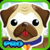 My Pet Pug Puppy Amazing Trip : Pro Image