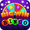 Bingo Big Win Image