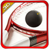 Real Squash Sports - Pro Image
