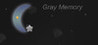 Gray Memory Image