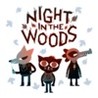 Night in the Woods Image