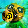 Soccer Knockout Image