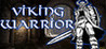 Viking Warrior Image