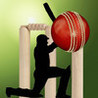 Cricket 3Di Image