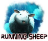 Running Sheep Image