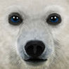 Ultimate Arctic Simulator Image