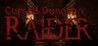 Cursed Dungeon Raider Image