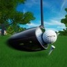 Perfect Swing - Golf Image