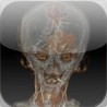 Brain Training - Daily Image