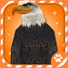 Virtual Pet Eagle Image