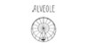 Alveole Image