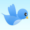 Bluebird Image
